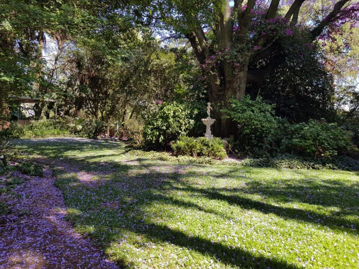 Bed and Breakfast The Great Gatsby Houghton Johannesburg Esterno foto
